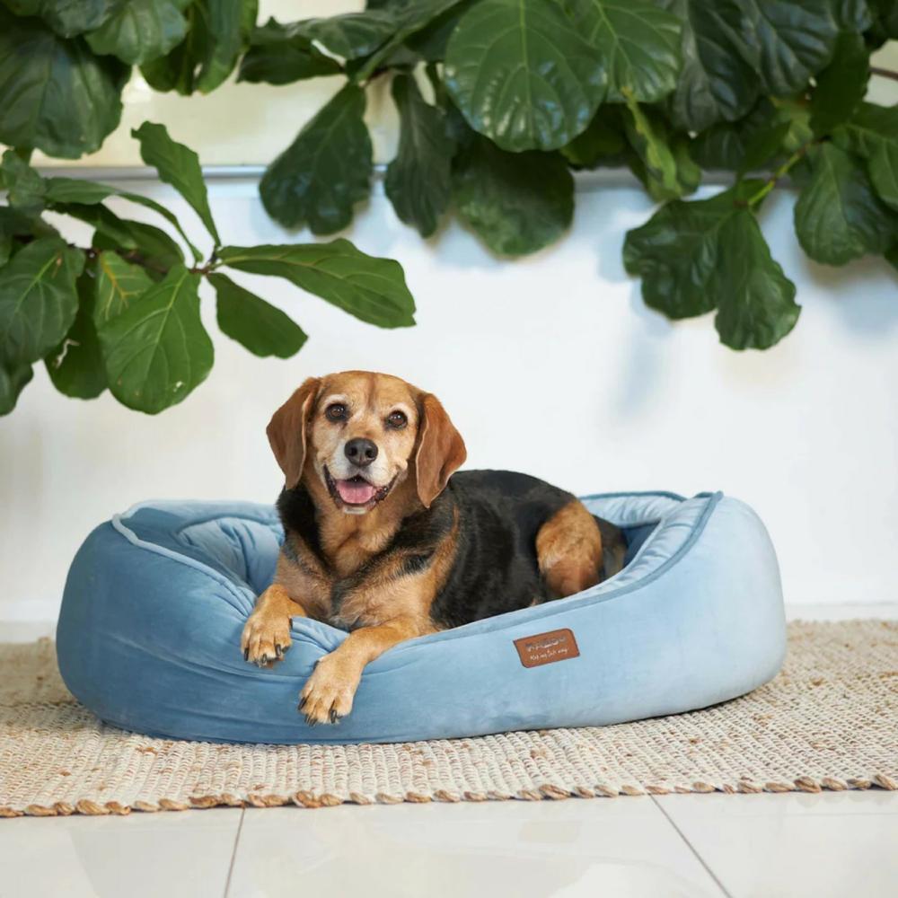 Bilby Dog Bed Twilight Cat