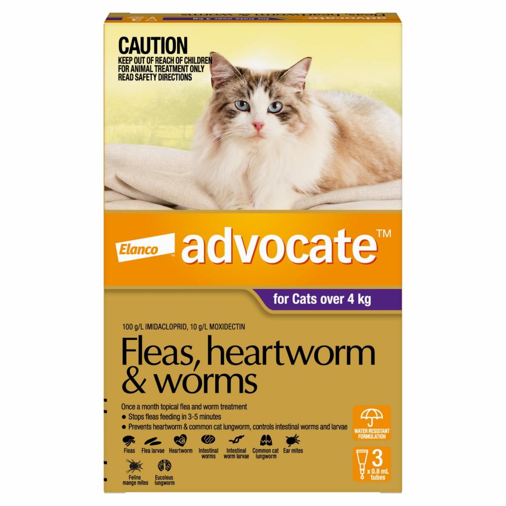 Flea & Worming For Large Cats Purple Cat